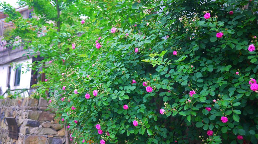 Deqing Moganshan Bamboo View Guesthouse מראה חיצוני תמונה