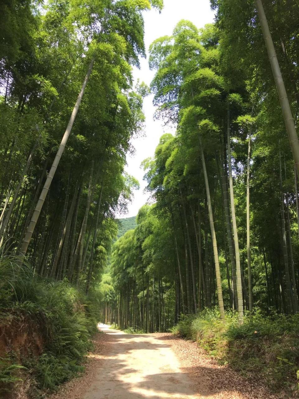 Deqing Moganshan Bamboo View Guesthouse מראה חיצוני תמונה
