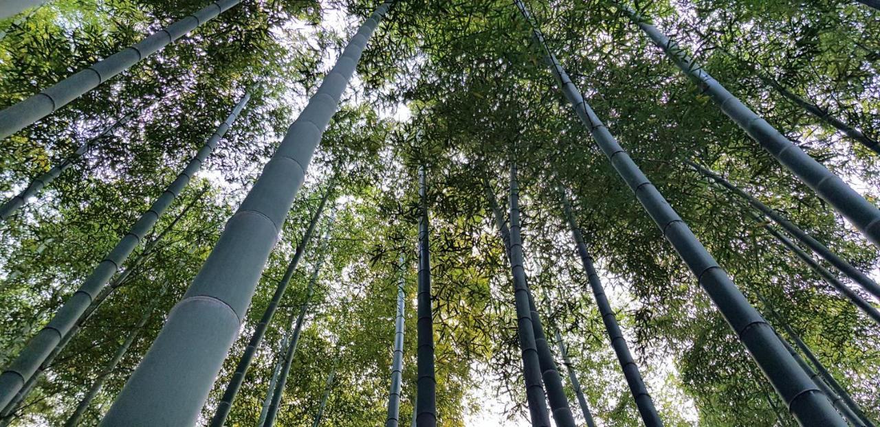 Deqing Moganshan Bamboo View Guesthouse מראה חיצוני תמונה